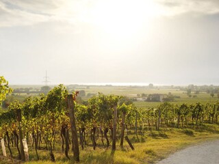Appartement Lutzmannsburg Omgeving 18