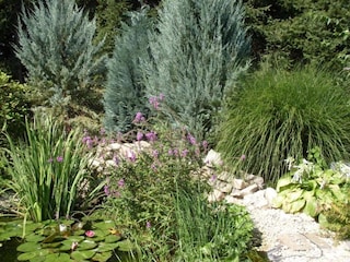 Apartment Lutzmannsburg Environment 23