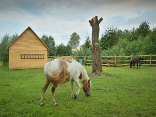 Vakantiehuis Pruszcz Gdanski Omgeving 31