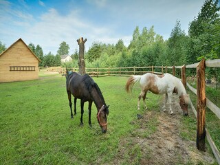 Holiday house Pruszcz Gdanski Environment 32
