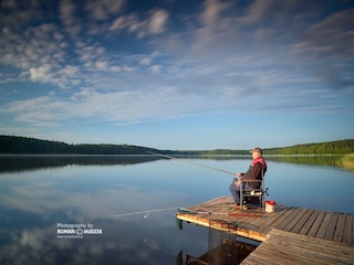Maison de vacances Pruszcz Gdanski Environnement 34