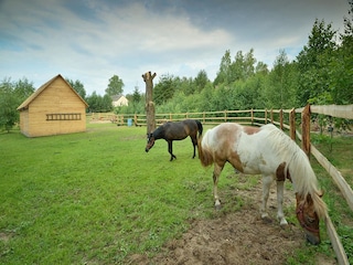 Ferienhaus Pruszcz Gdanski Umgebung 28