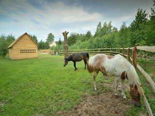 Vakantiehuis Pruszcz Gdanski Omgeving 29