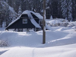 Ferienhaus May - Eibenstock - image1