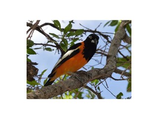 Appartamento Barber Registrazione all'aperto 8