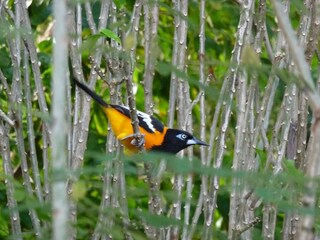 Apartamento Barber Entorno 27