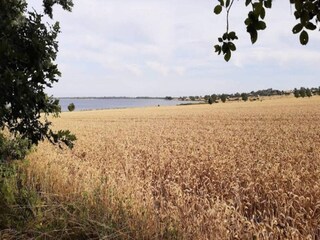 Vakantiehuis Ærøskøbing Buitenaudio-opname 15