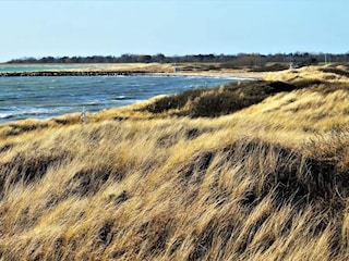 Vakantiehuis Dannemare  2