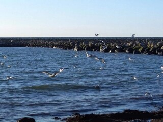 Casa de vacaciones Dannemare  34