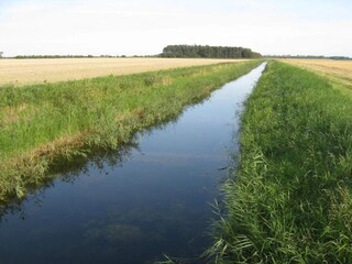 Maison de vacances Dannemare  42