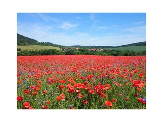 Appartamento per vacanze Rudolstadt Ambiente 19