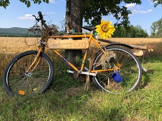 Appartamento per vacanze Rudolstadt Ambiente 20