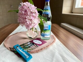 Appartamento per vacanze Rudolstadt Caratteristiche 17