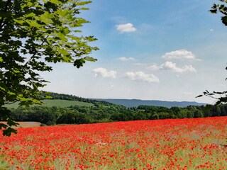 Appartamento per vacanze Rudolstadt Ambiente 26
