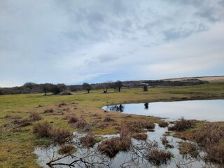 Appartamento per vacanze Oostkapelle Ambiente 23