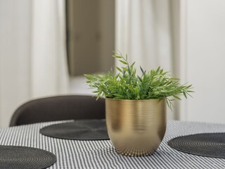 Holiday apartment Oostkapelle Features 17