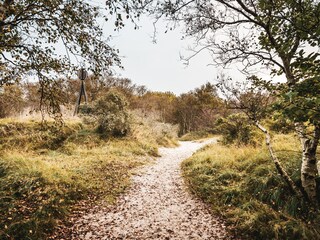 Weg zum Strand