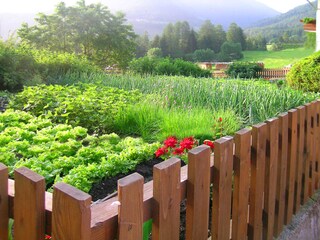 Vakantieappartement St. Lorenzen im Pustertal Omgeving 23