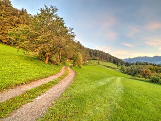 Vakantieappartement St. Lorenzen im Pustertal Omgeving 27