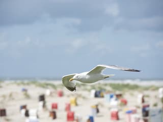 Urlaub