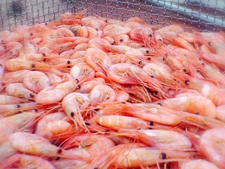 Holiday house Lysekil  43