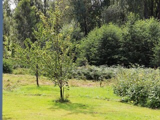 Ferienhaus Gönäs Außenaufnahme 4