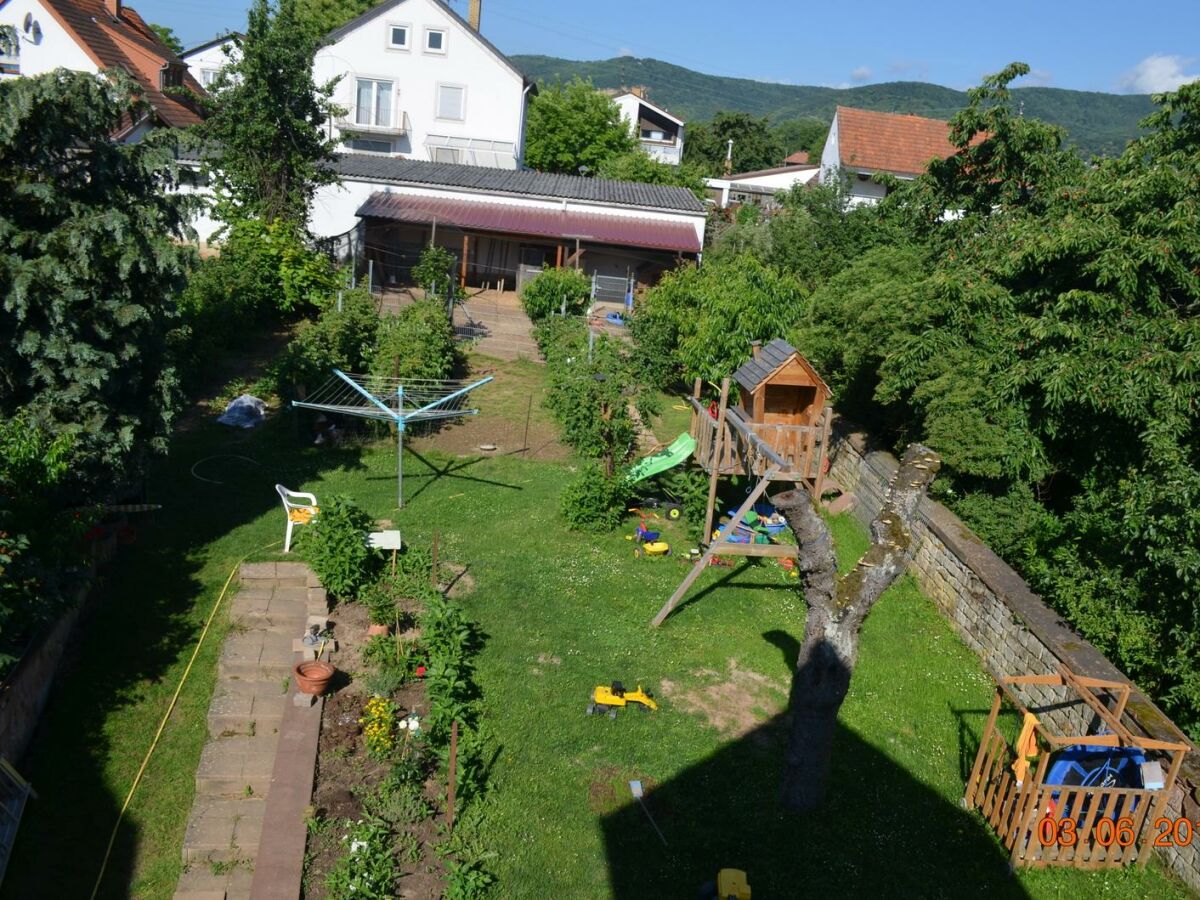 Blick zum Garten