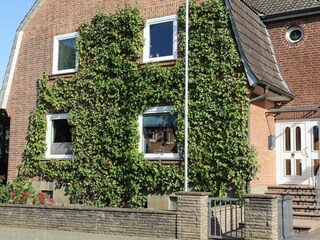 Außenansicht mit Weinreben am Haus