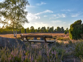 Ausflug in die Ellerndorfer Wacholderheide