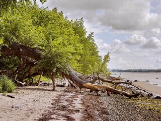 Der Strand im Naturschutzgebiet Halbinsel Holnis lädt zu ausgiebigen Spaziergängen ein.