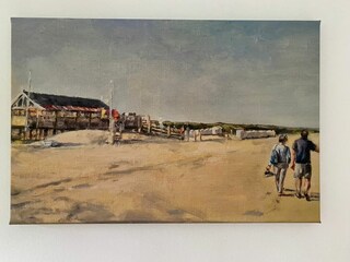 Vakantiehuis Renesse Buitenaudio-opname 11