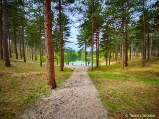 Maison de vacances Renesse Environnement 30