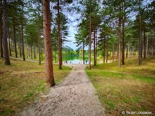 Vakantiehuis Renesse Omgeving 35