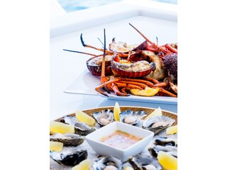 Maison de vacances Renesse Environnement 31