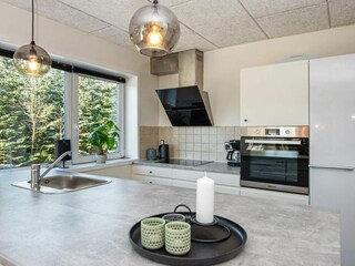 Vakantiehuis Ringkøbing  14