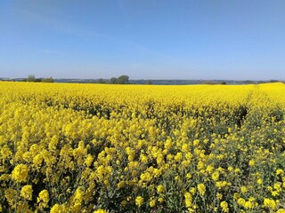 Vakantiehuis Sydals  27