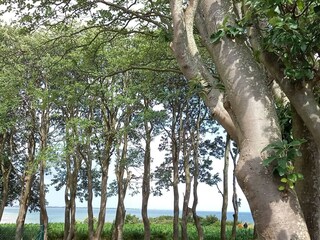 Casa de vacaciones Sydals  28