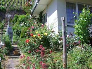 Eingang über den Garten hoch