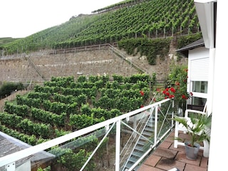 Blick vom Balkon auf Weinberge