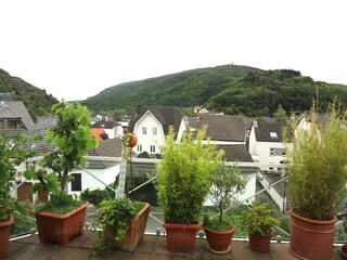 Vakantieappartement Dernau Omgeving 8