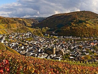 Panorambild Dernau im Herbst