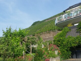 Vakantieappartement Dernau Buitenaudio-opname 5