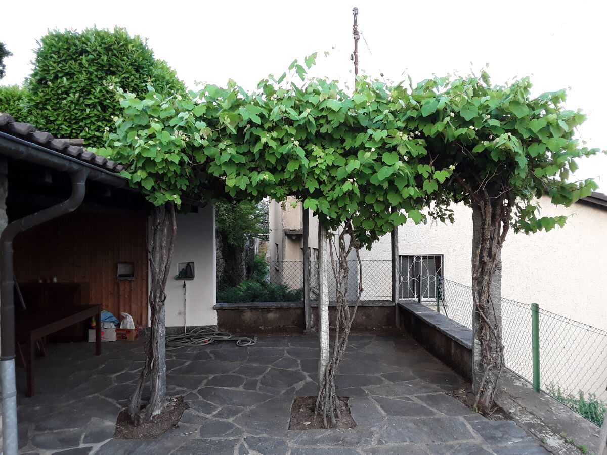 Pergola