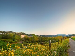 Villa Port Andratx Ambiente 29