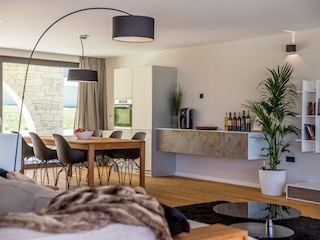 Villa Nedescina Features 16