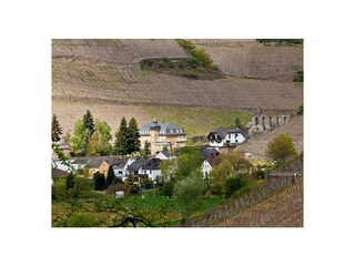 Vakantieappartement Dernau Buitenaudio-opname 4