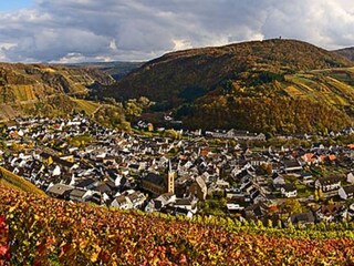 Vakantieappartement Dernau Omgeving 19