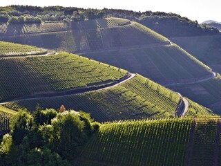 Vakantieappartement Dernau Omgeving 20