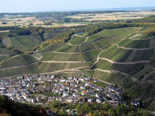 Vakantieappartement Dernau Omgeving 17
