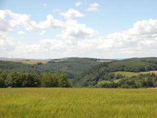 Landschaft 1
